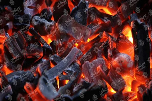 قیمت روز انواع زغال در تهران