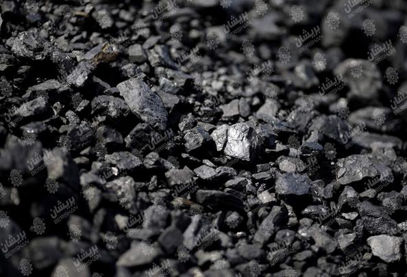 وارد کنندگان زغال چینی