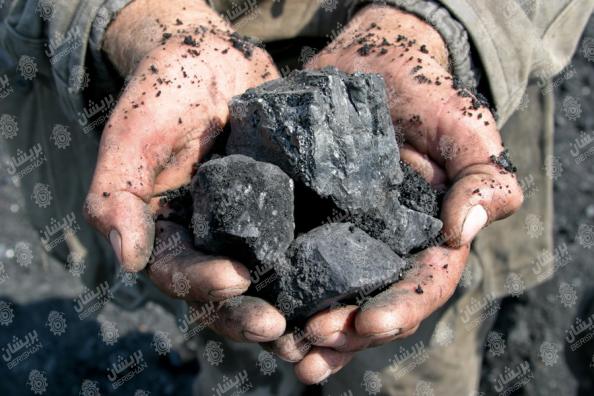 قیمت انواع زغال در تهران