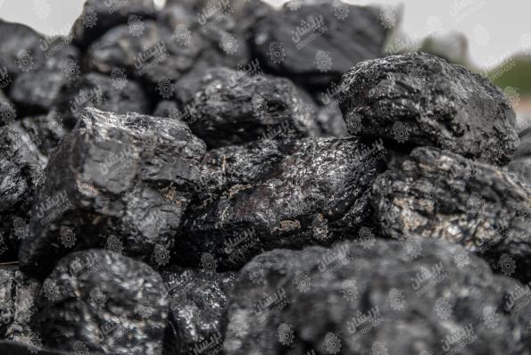 خریداران عمده زغال چینی در کشور