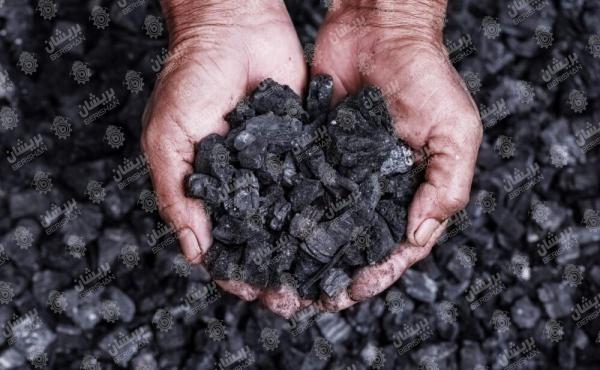 راهنمای خرید زغال فشرده قلیانی در بازار