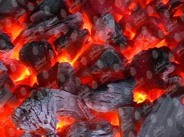 بازرگانی خرید زغال خودسوز کبابی